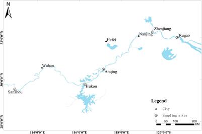 Genetic Diversity, Habitat Relevance and Conservation Strategies of the Silver Carp in the Yangtze River by Simple Sequence Repeat